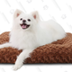 Washable Dog Bed | $18 | Amazon